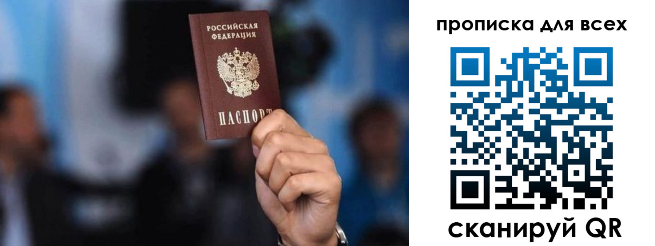 прописка законно в Светлом